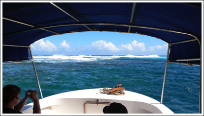 Boat Trip