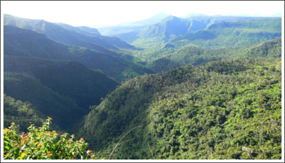Black River Gorge