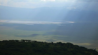 P1050187.jpg