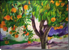 Oranges in Fondi